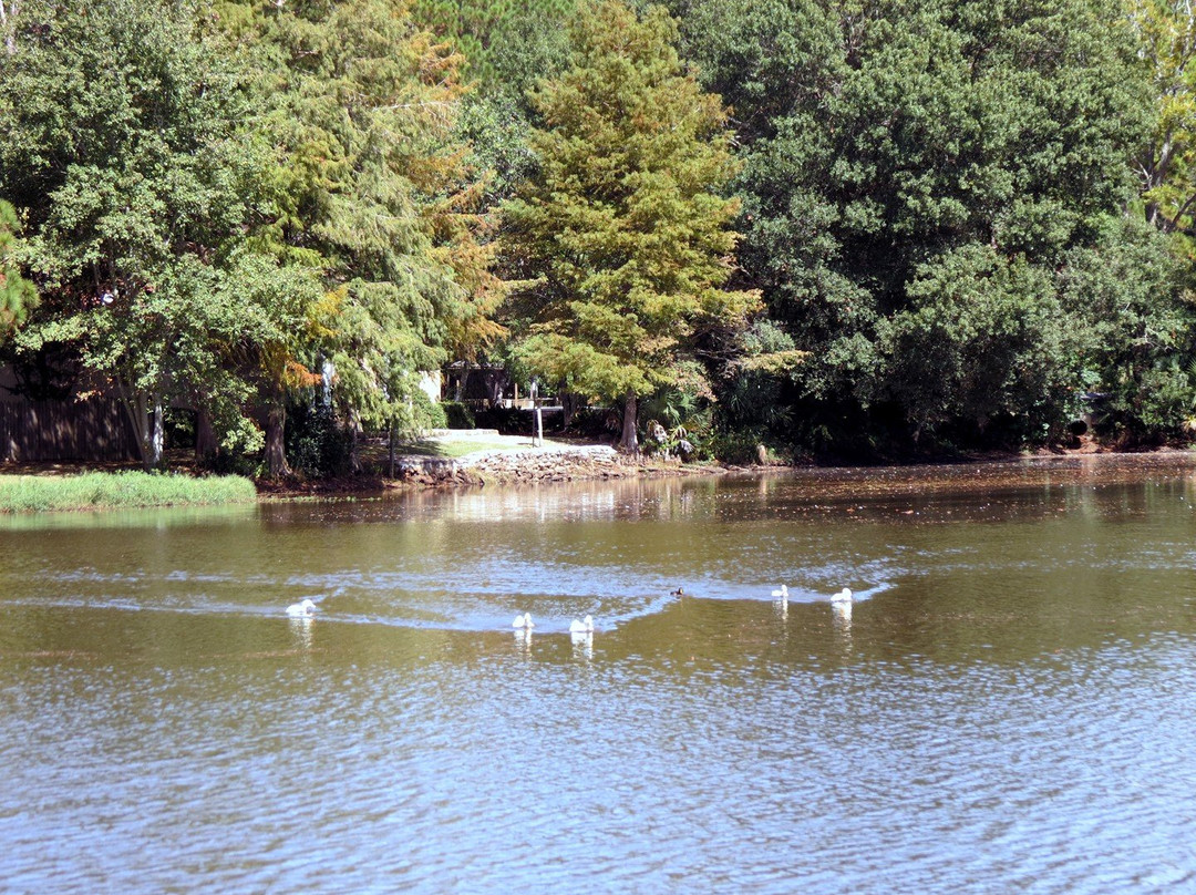 Georgia Peanut Commission-蒂夫顿必去景点