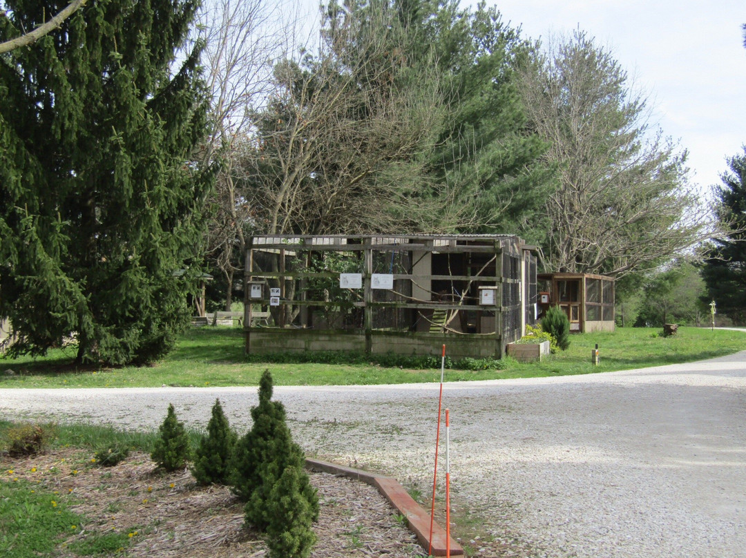 TreeHouse Wildlife Center-Dow必去景点