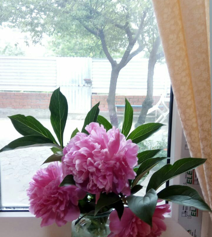 Irina Guest House