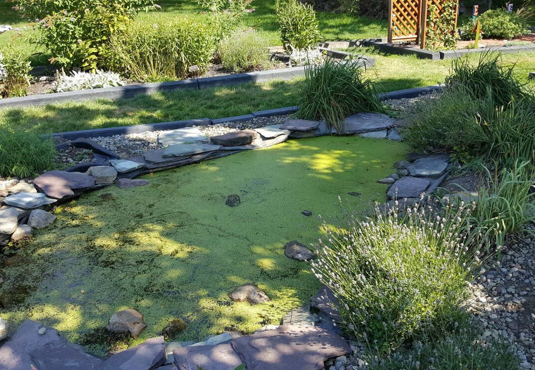 Henrietta旅游攻略图片