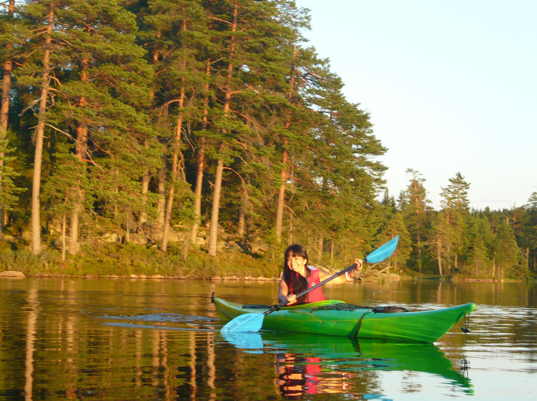 Nordic Discovery