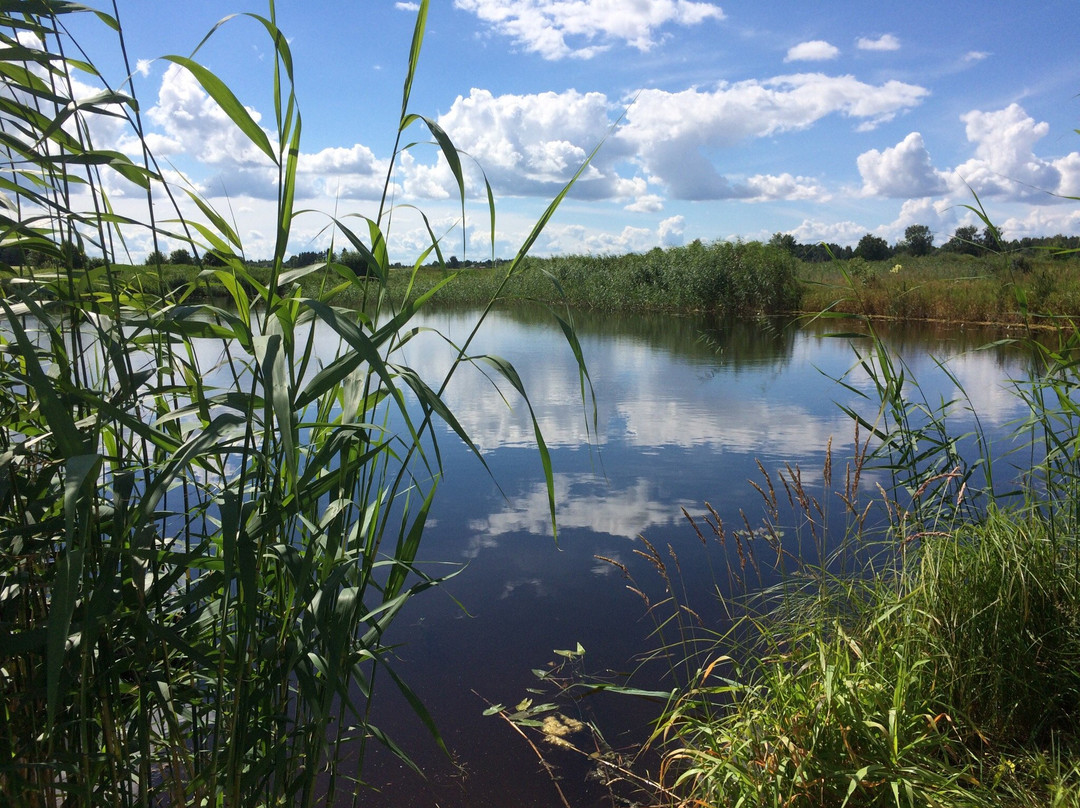 Ilmatsalu-Karevere Hiking Trail景点图片