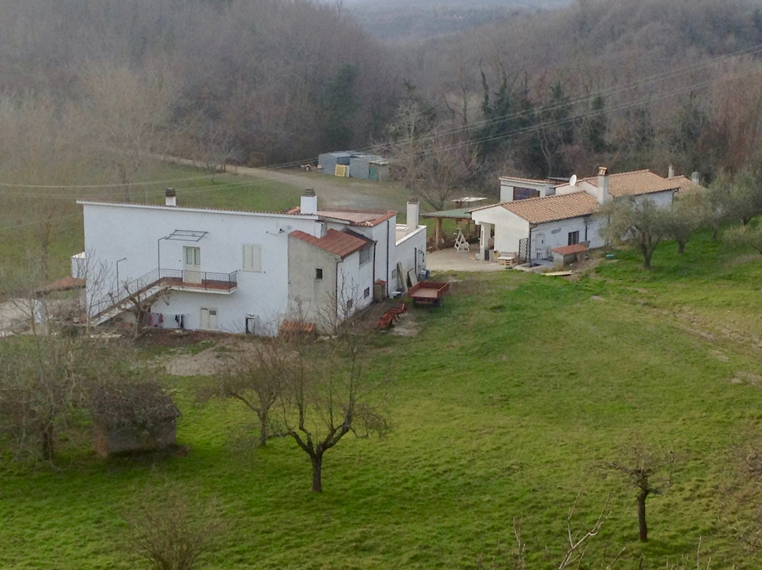 Il Casale Del Sor Vince'
