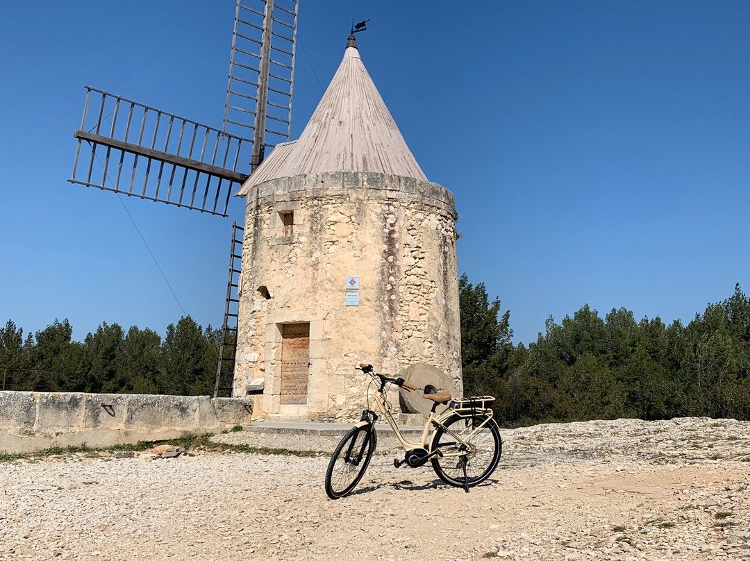 Bike Provence Decouverte景点图片