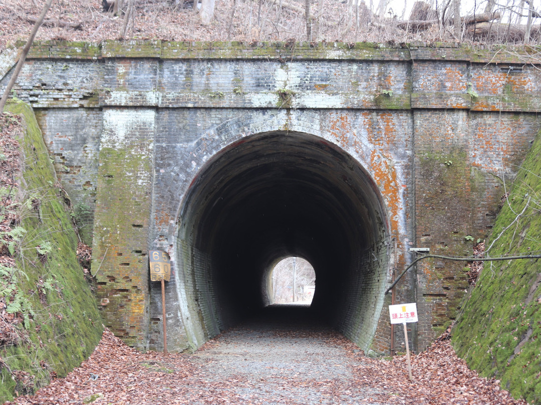 Urushi Kubo Tunnel景点图片