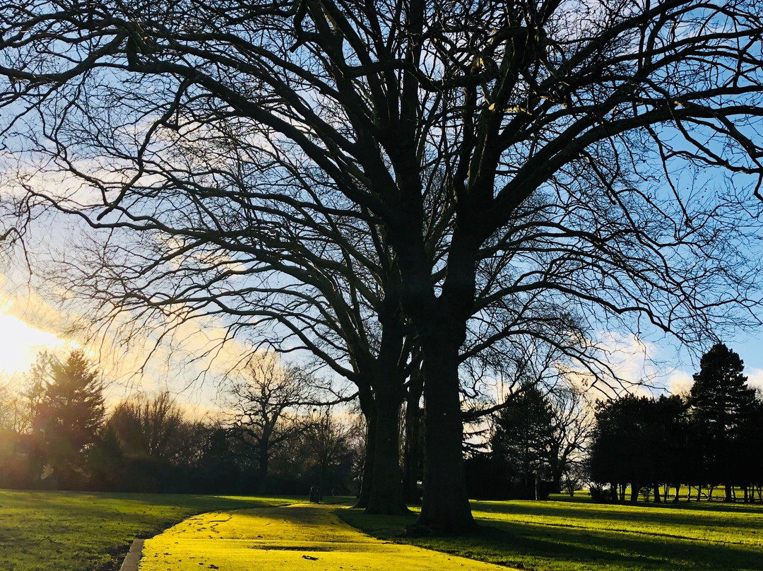 Roundwood Park景点图片