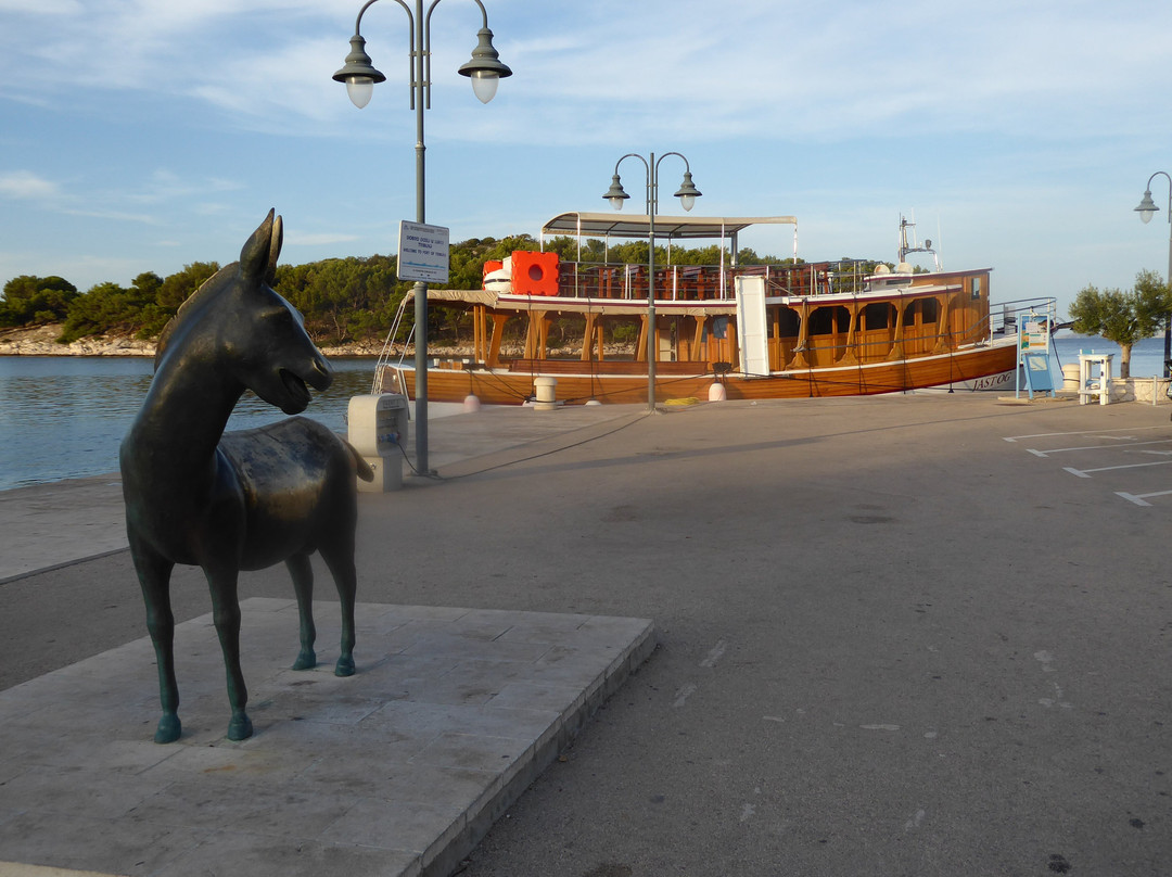 Donkey Statue Tribunj景点图片