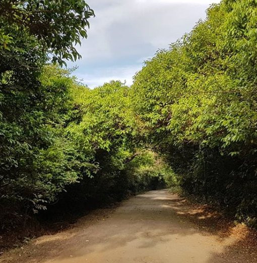 Babbington Point景点图片