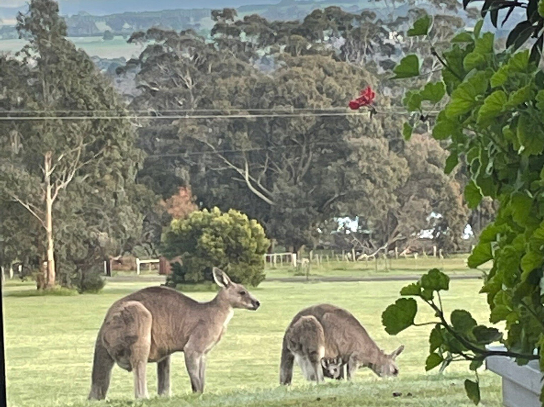 Hanging Rock Views
