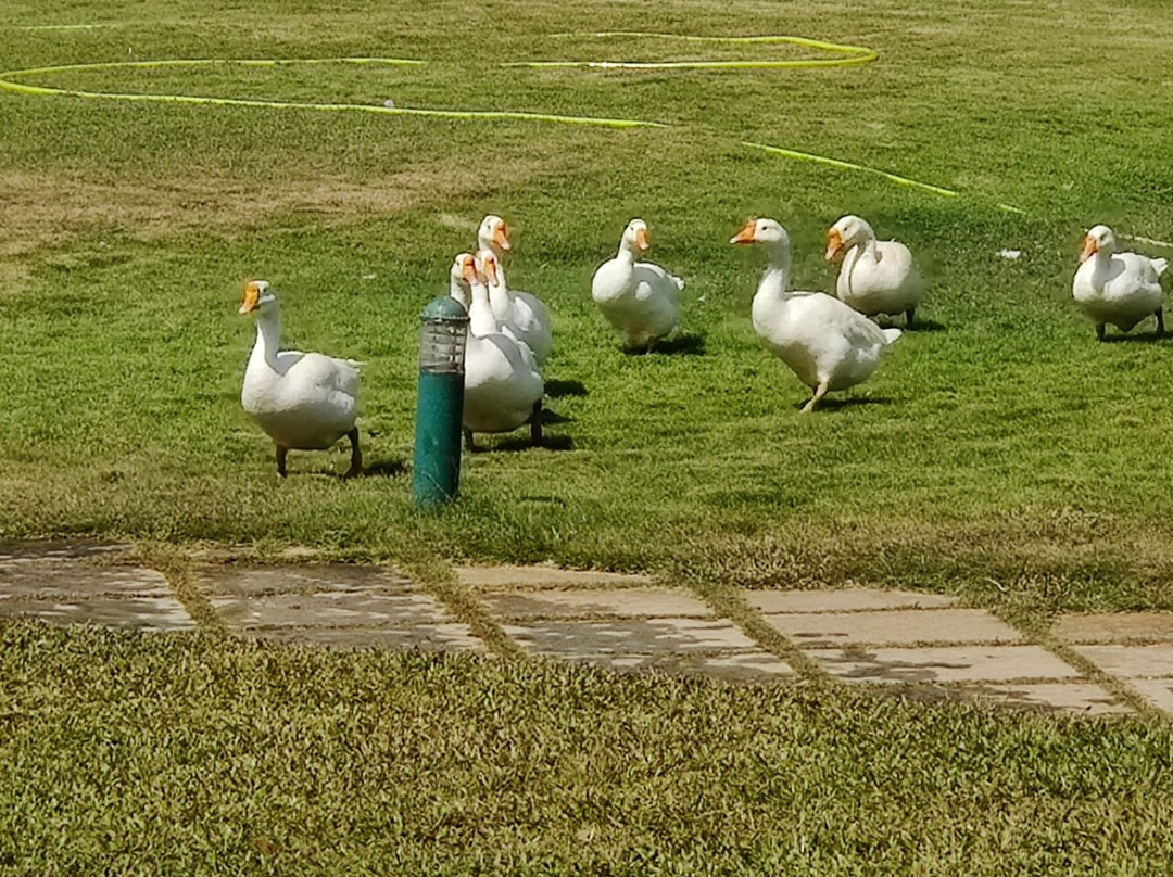 果阿皇家兰花海滩度假村主图