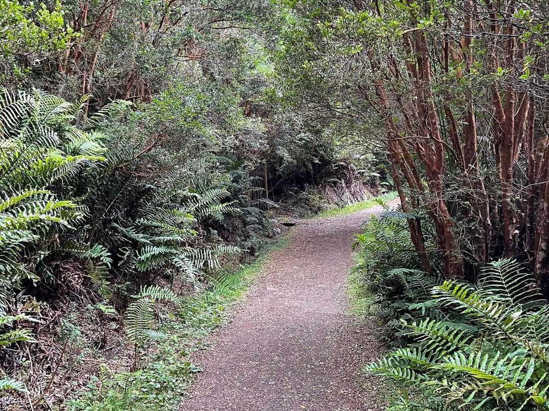 Parque Nacional Chiloé-奇洛埃岛必去景点