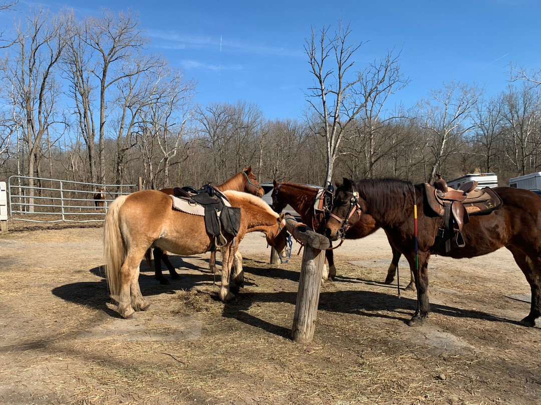 Natural Valley Ranch-Brownsburg必去景点
