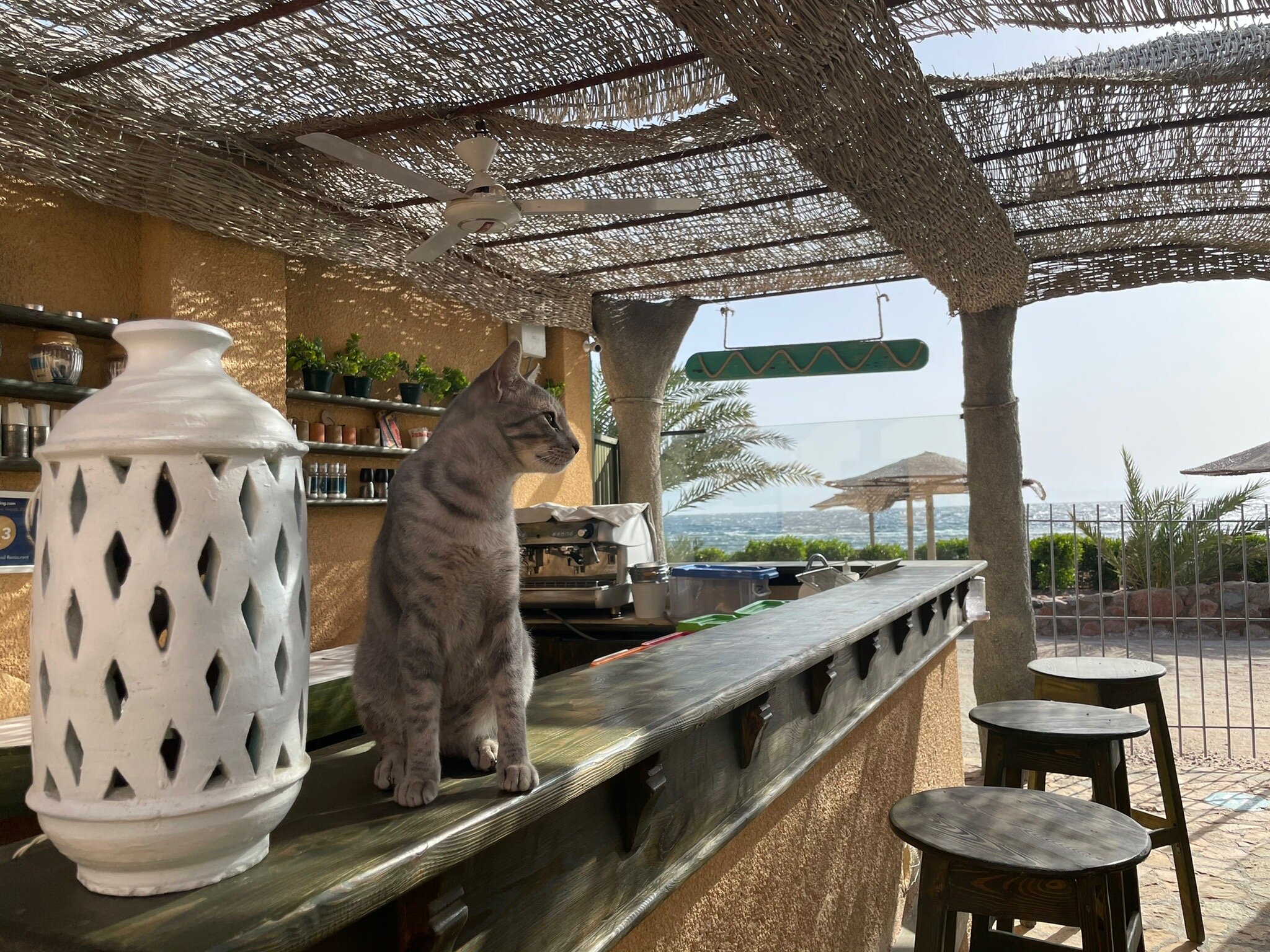 Eldorado Lodge & Restaurant-官方