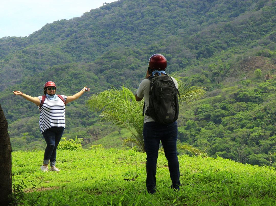 Vallarta Excursions景点图片