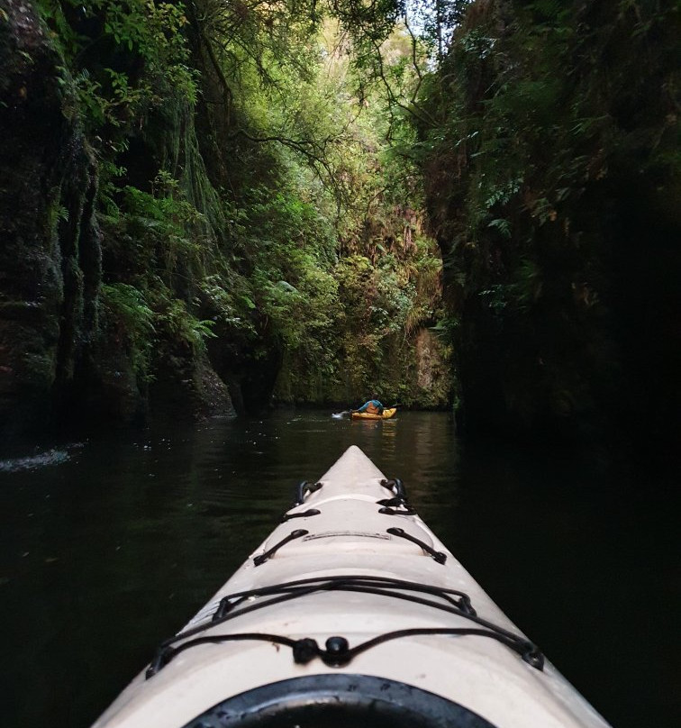 The Boatshed Kayaks-剑桥必去景点