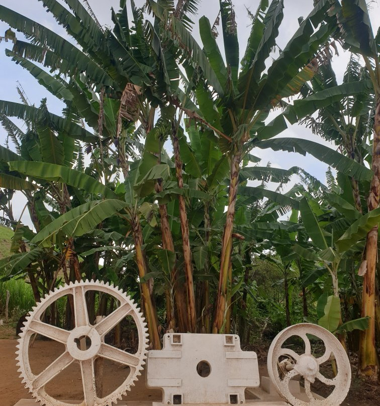 Engenho Goiamunduba-Bananeiras必去景点