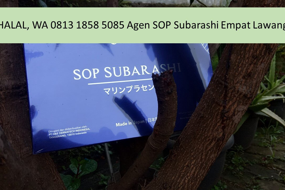 Sinar Sport Hotel主图