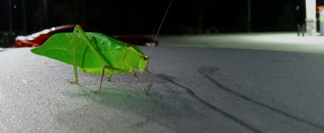 Extended Stay America - Suites Melbourne - Airport主图