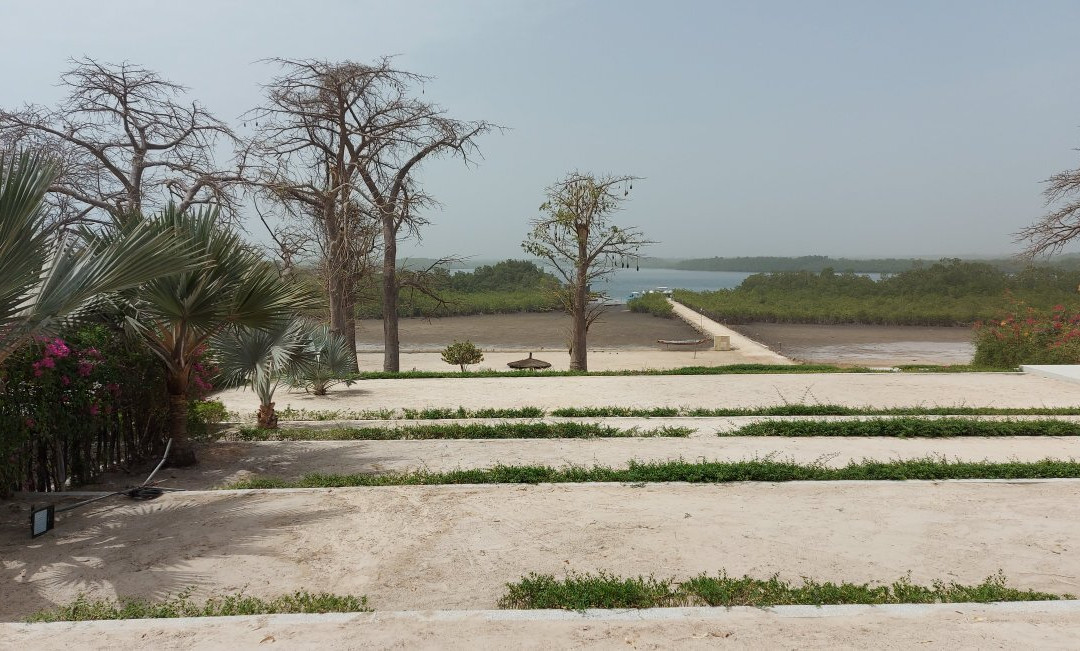 Les Paletuviers Boutique Hotel主图