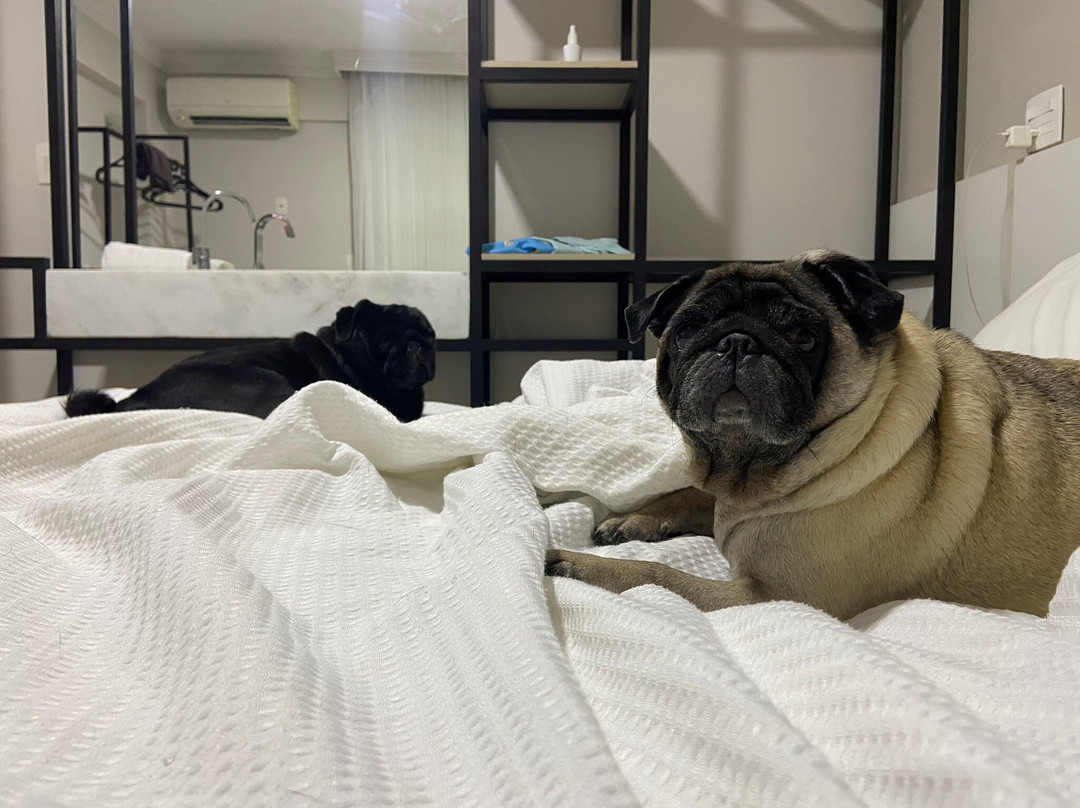 Hotel Pedra Negra主图