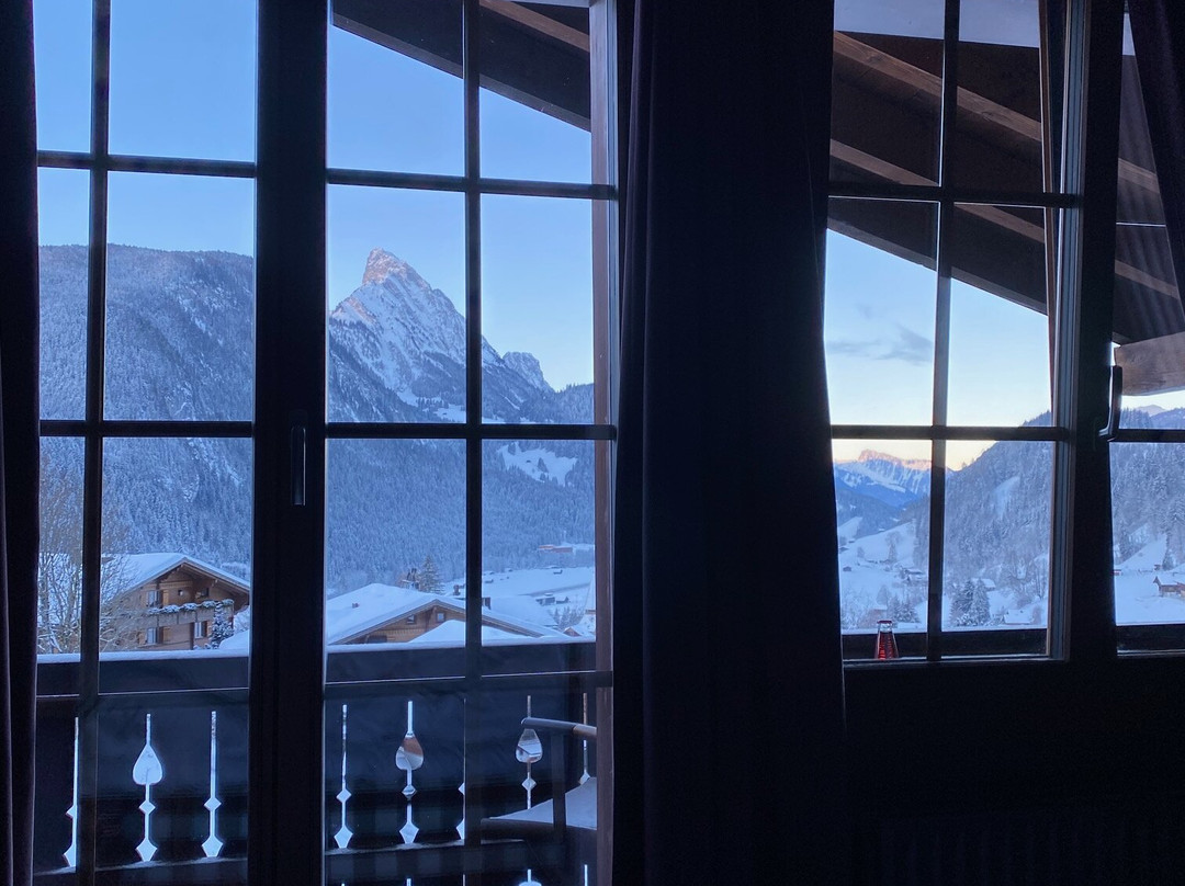 HUUS Gstaad Hotel主图