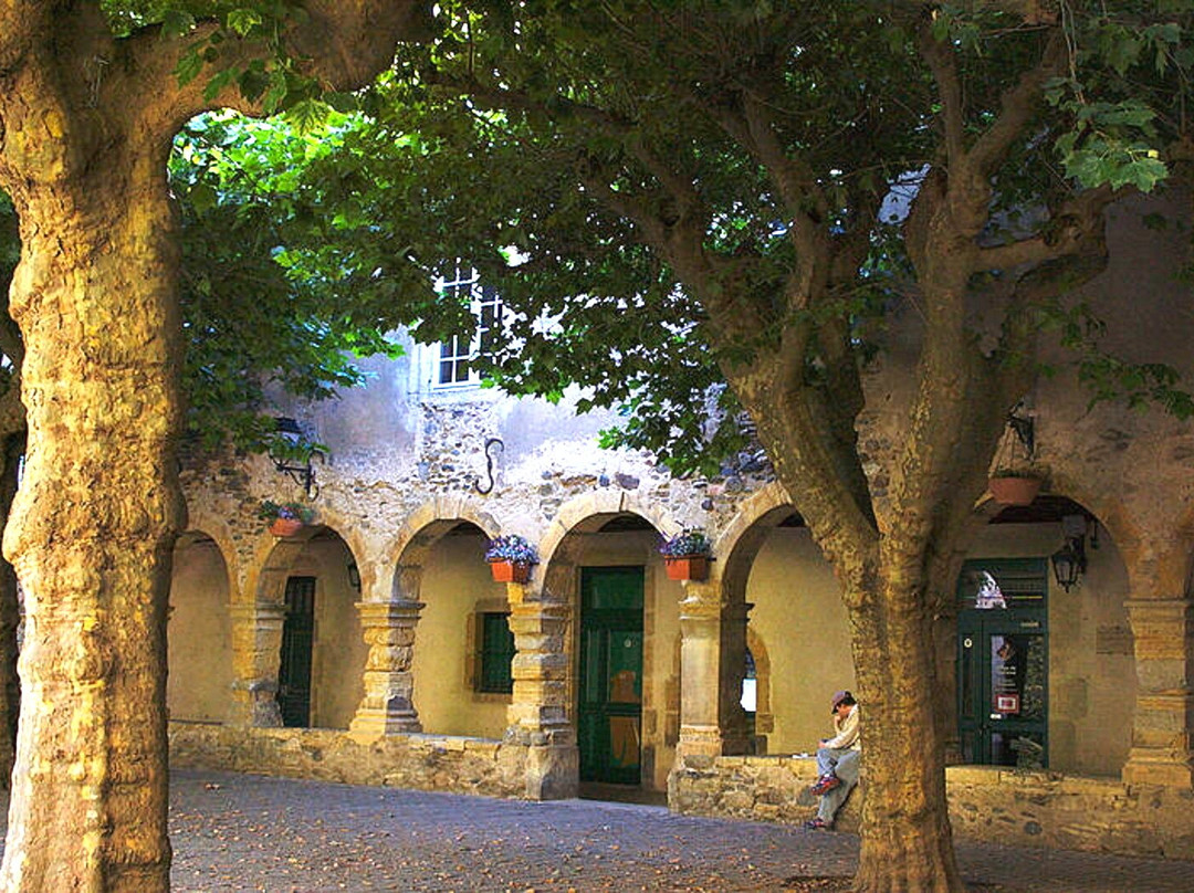 Monastère Et Cloître Des Augustins-Saint Geniez d'Olt必去景点
