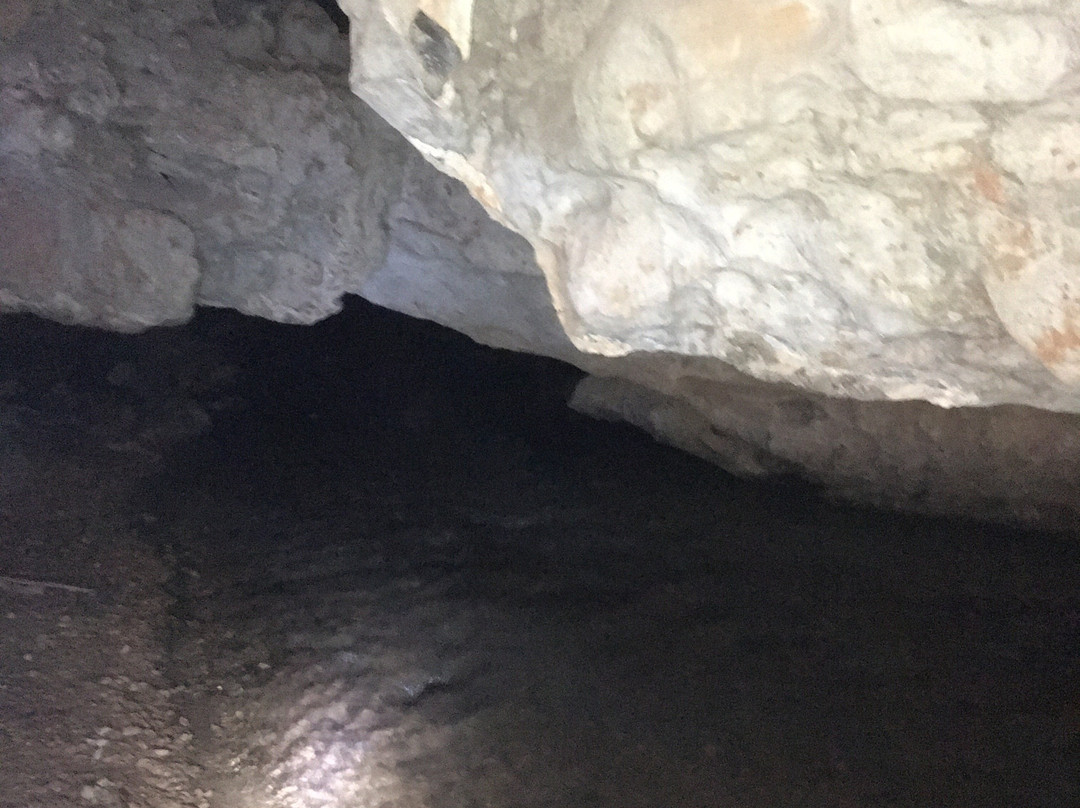 Parque Municipal Gruta Do Bacaetava景点图片