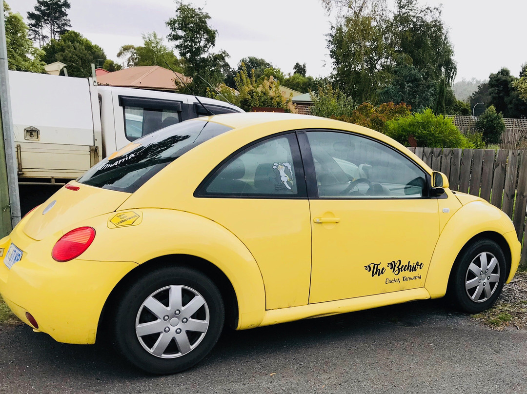 Honey Tasmania - The Beehive-Exeter必去景点