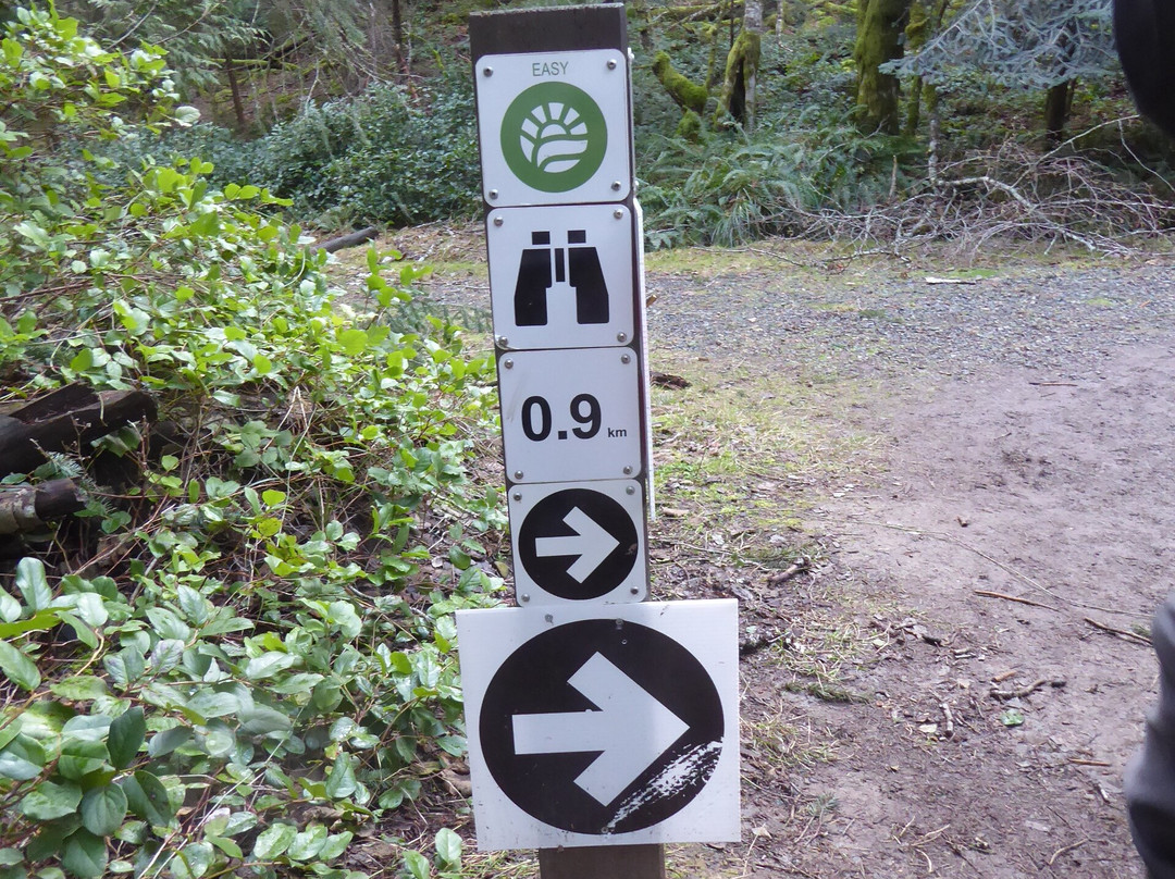 Stoney Hill Regional Park景点图片