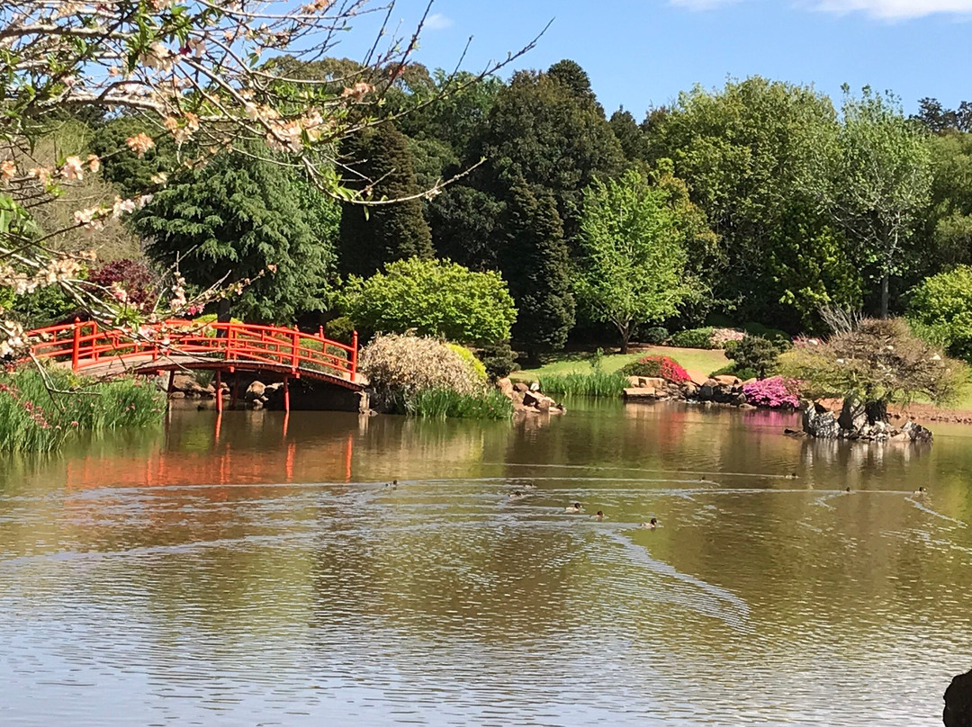 Japanese Garden-图沃柏必去景点