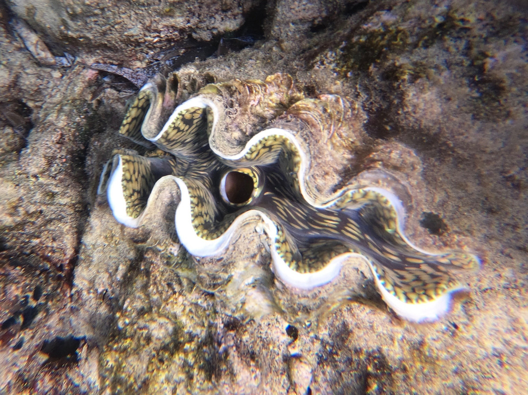 凯纳斯旅馆主图