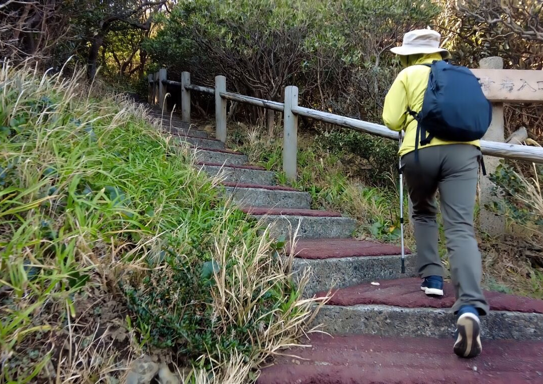 Odoyama Lookout-大月町必去景点