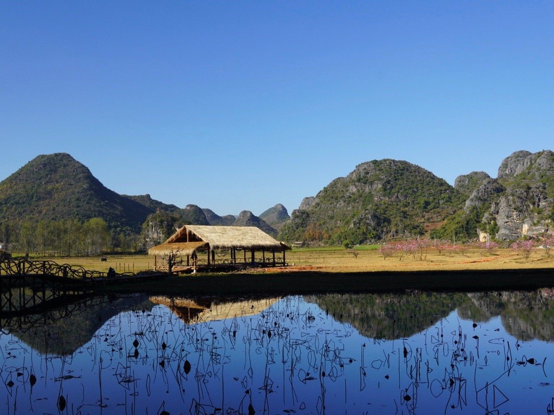 普者黑景区-丘北县必去景点