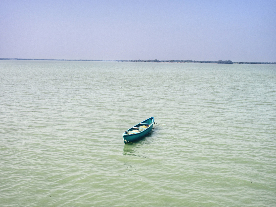 Veeranam Lake景点图片