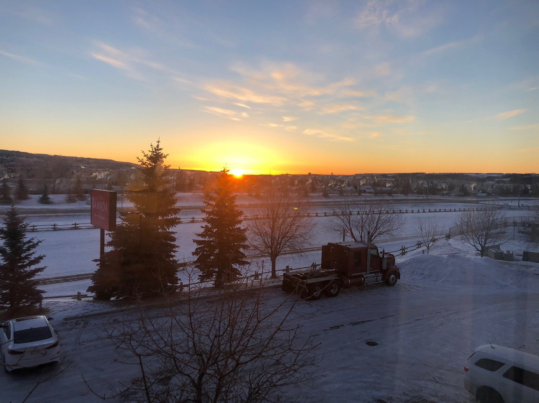 Canalta Cochrane主图