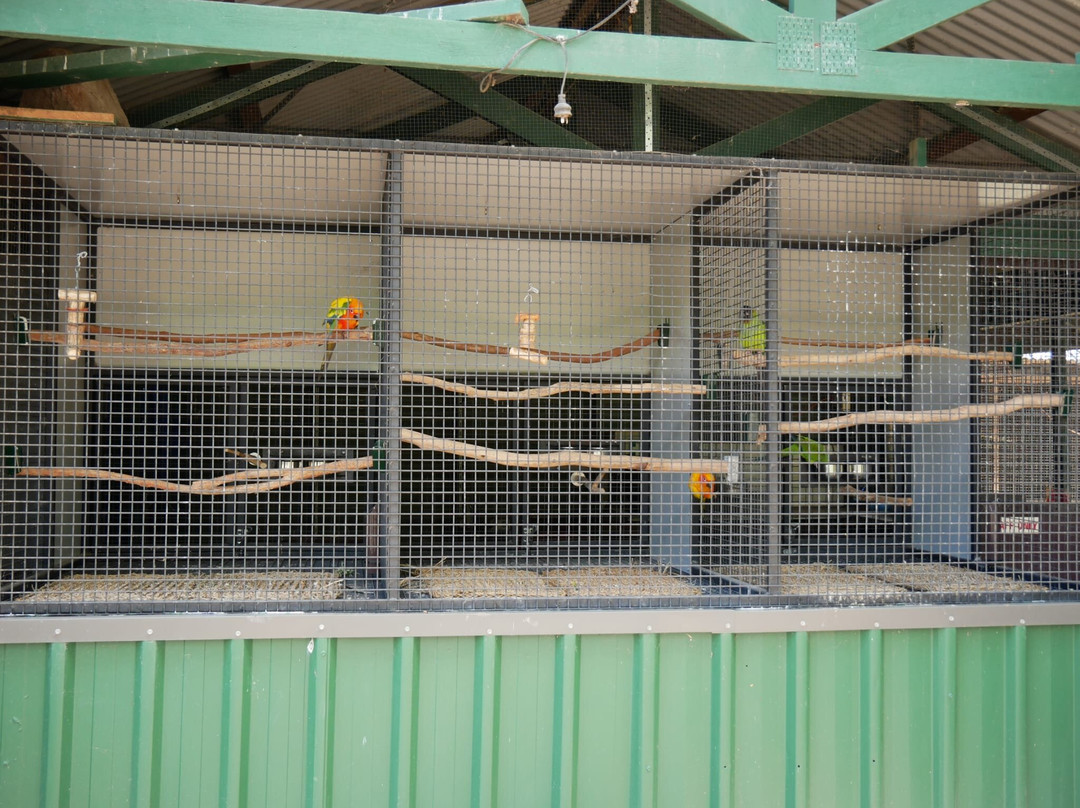 Fraser Coast Wildlife Sanctuary-Maryborough必去景点