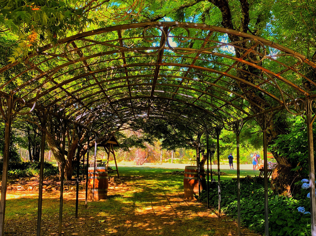 Buffalo Motel and Country Retreat主图