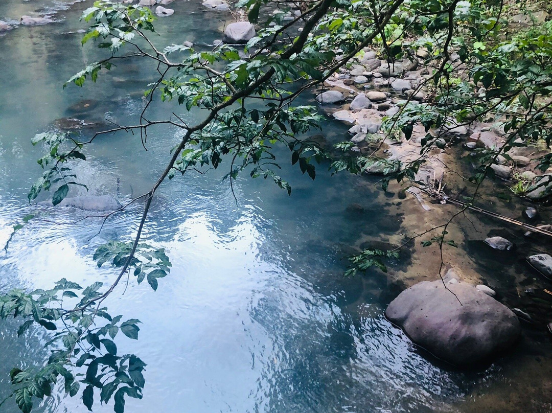 Pamulaklakin Forest Trail景点图片