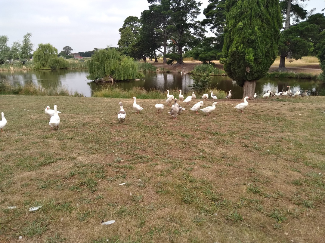 Walter J Smith Reserve-Riddells Creek必去景点