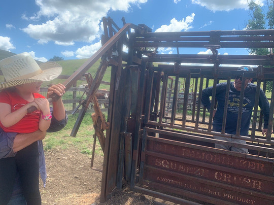 Tamworth Kootingal Horse Riding Adventures-塔姆沃思必去景点