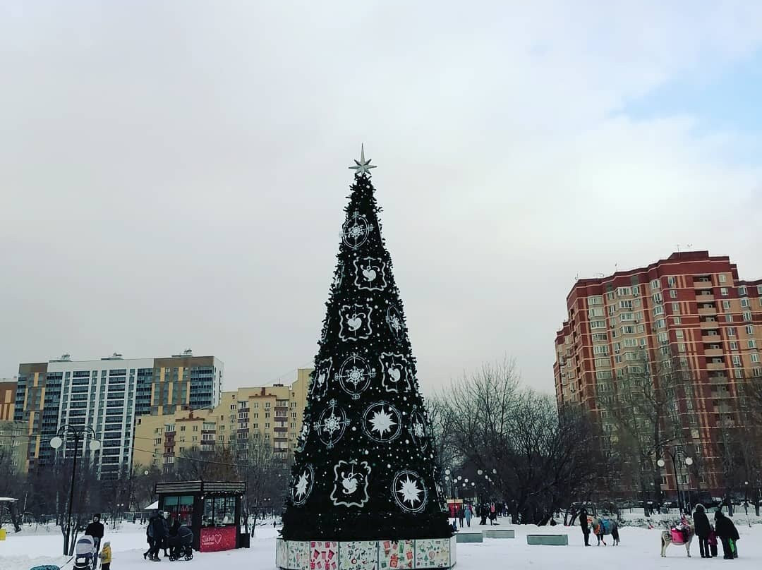 Natashinskiy Park景点图片