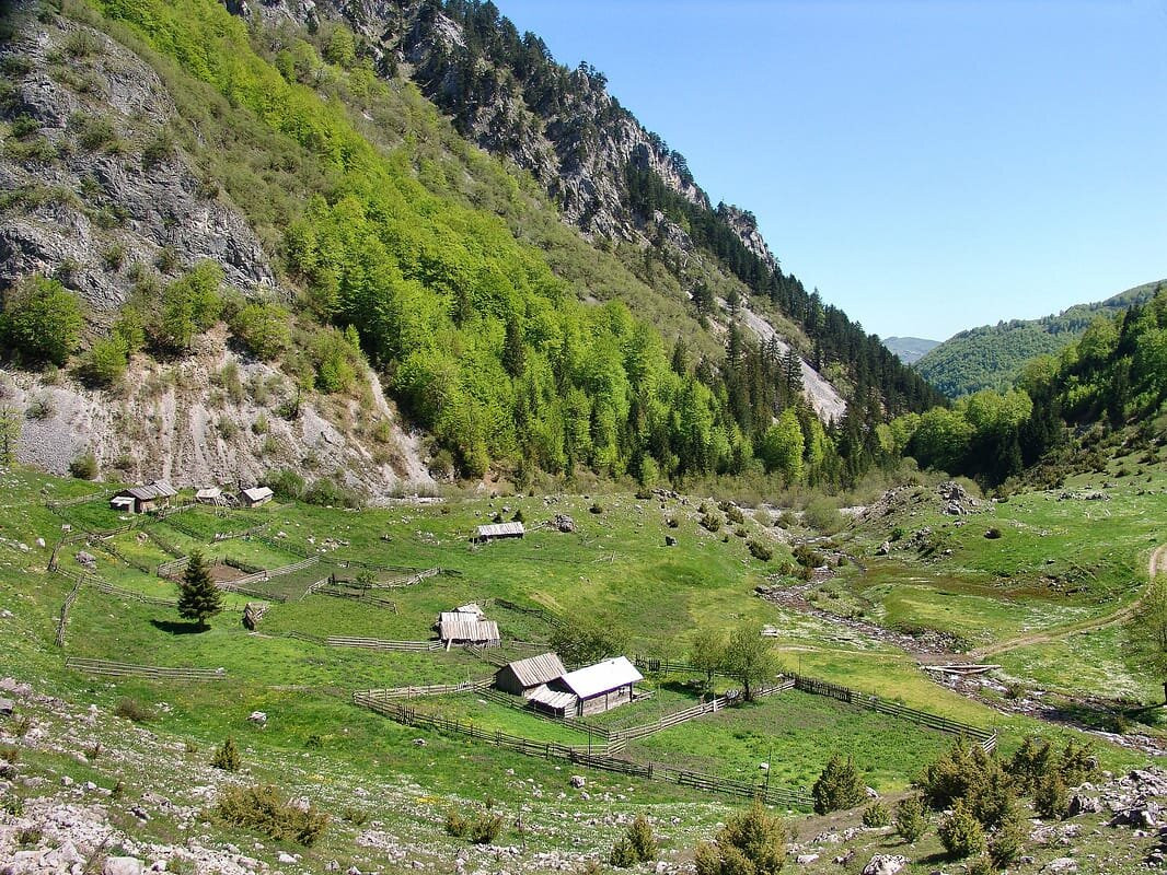 Hostel Mojan