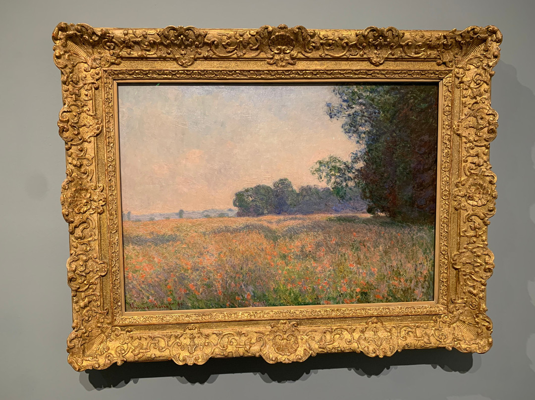 Harn Museum Of Art-盖恩斯维尔必去景点