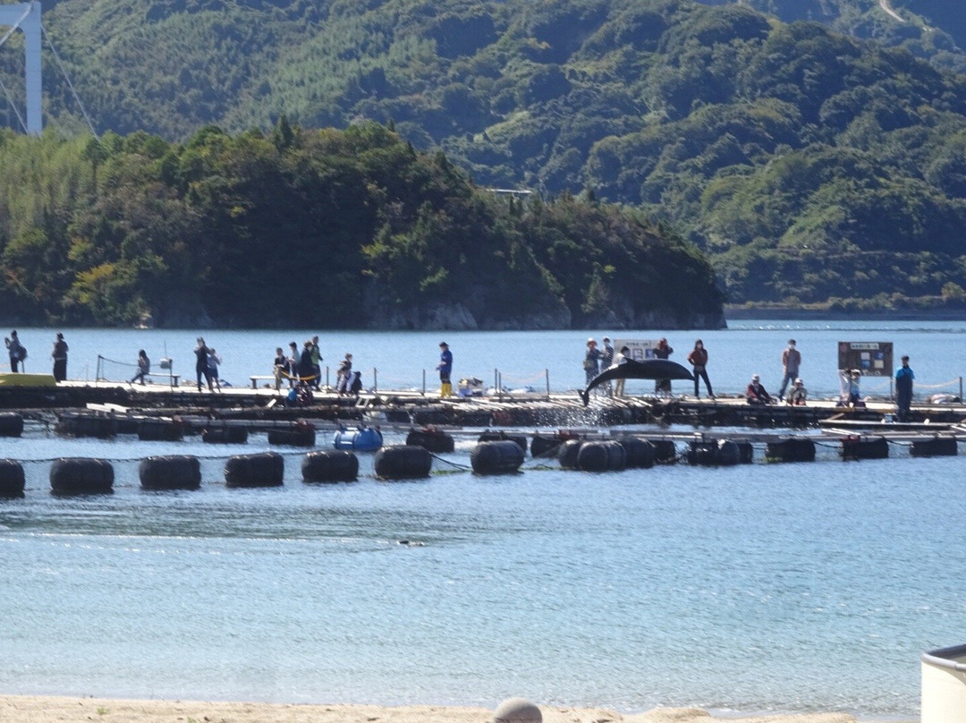 Shimanami Dolphin Farm-今治市必去景点