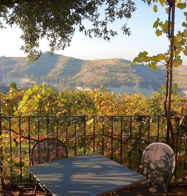 Agriturismo Cascina Serra主图