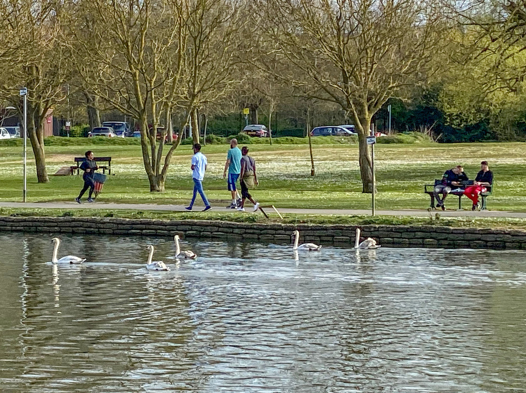 Caversham Court Gardens景点图片