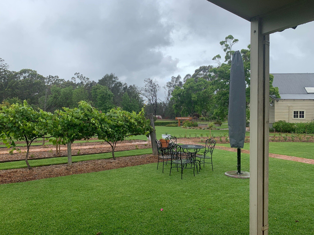 Pepper Tree Wines景点图片