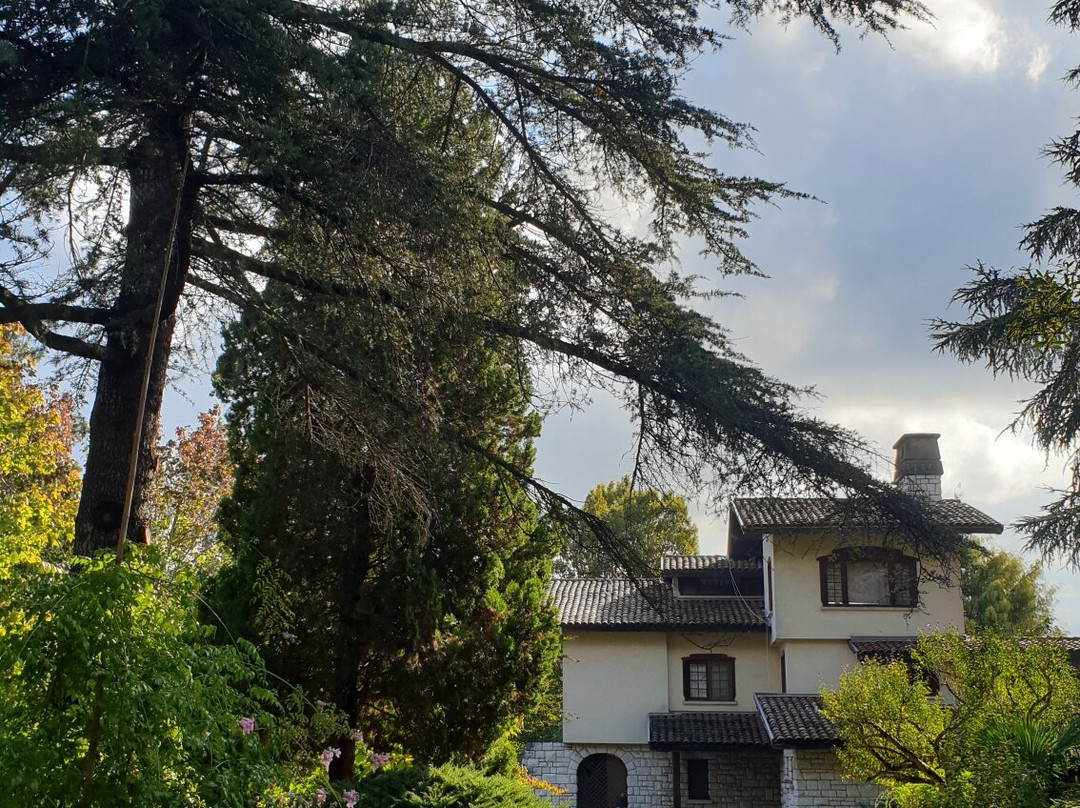 Karaca Ağaç Parkı-Yalova必去景点