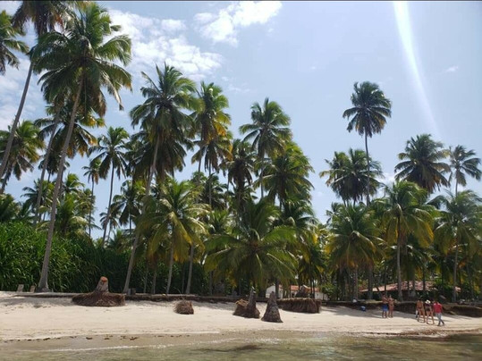 Martur Viagens e Turismo-累西腓必去景点