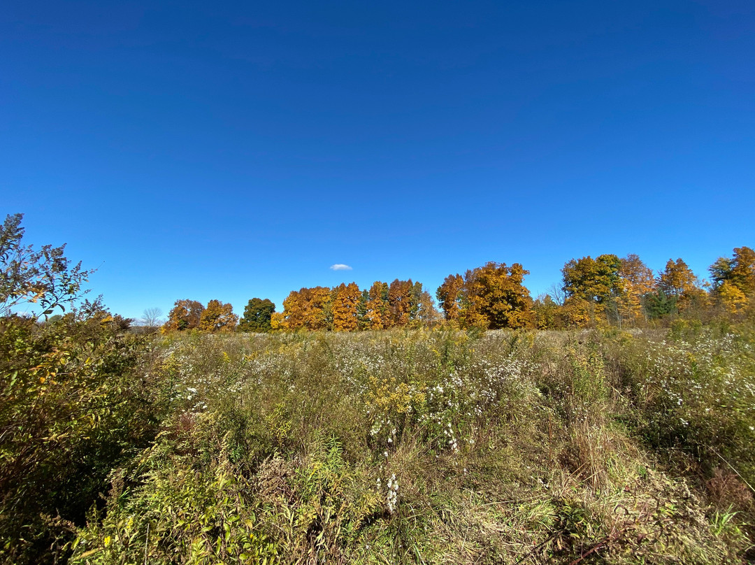 Beartown Lakes Reservation景点图片